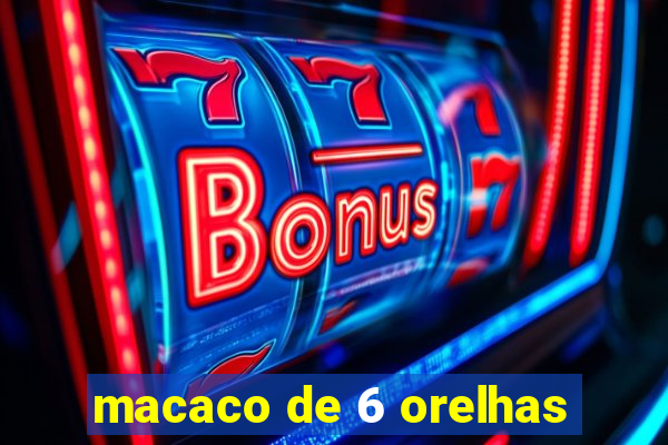 macaco de 6 orelhas