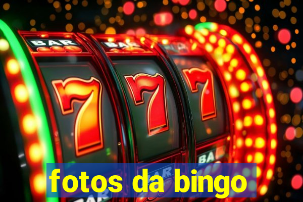 fotos da bingo