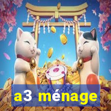 a3 ménage