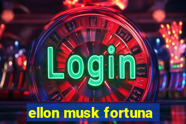 ellon musk fortuna