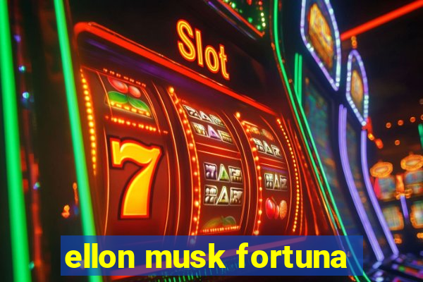 ellon musk fortuna