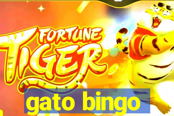 gato bingo