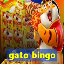 gato bingo