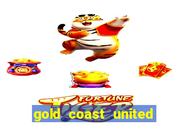 gold coast united sub 23