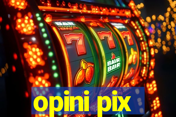 opini pix