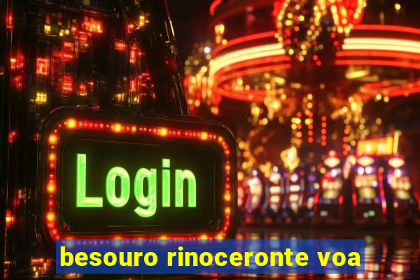 besouro rinoceronte voa