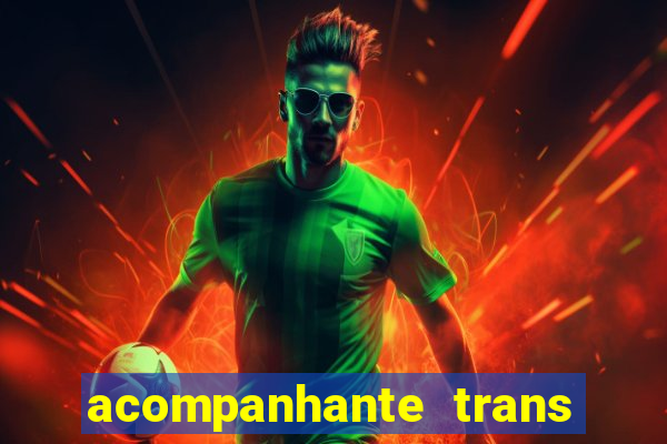 acompanhante trans baixada fluminense