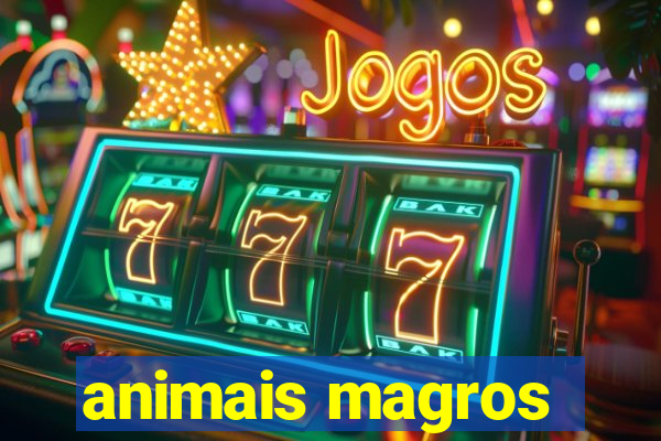 animais magros