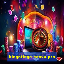 bingotingo canva pro