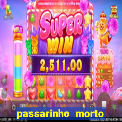 passarinho morto significado espiritual