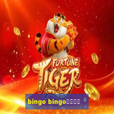 bingo bingo線上投注