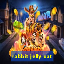 rabbit jelly cat