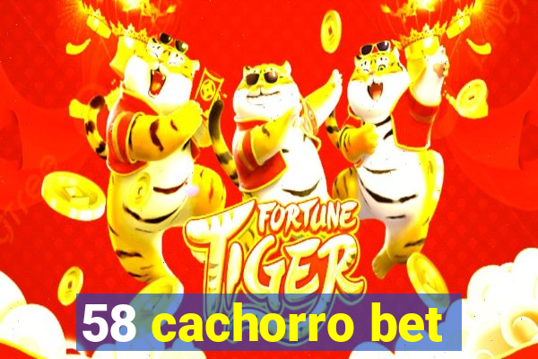 58 cachorro bet