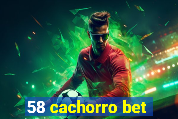 58 cachorro bet