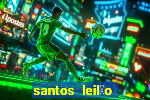 santos leil茫o passo fundo