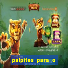 palpites para o jogo do sport