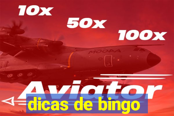 dicas de bingo