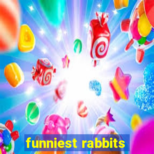 funniest rabbits