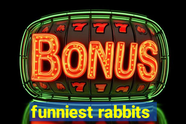 funniest rabbits