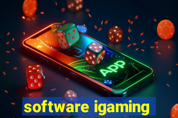 software igaming