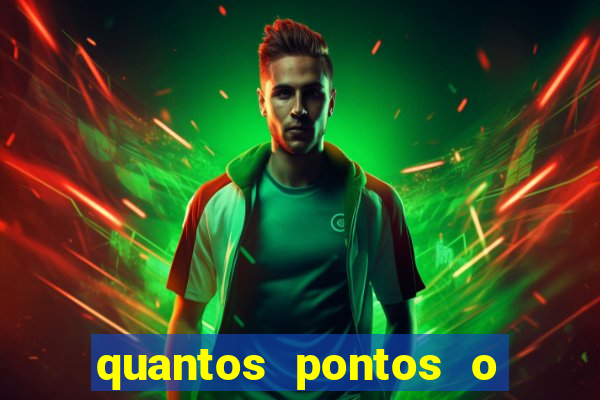 quantos pontos o palmeiras tá