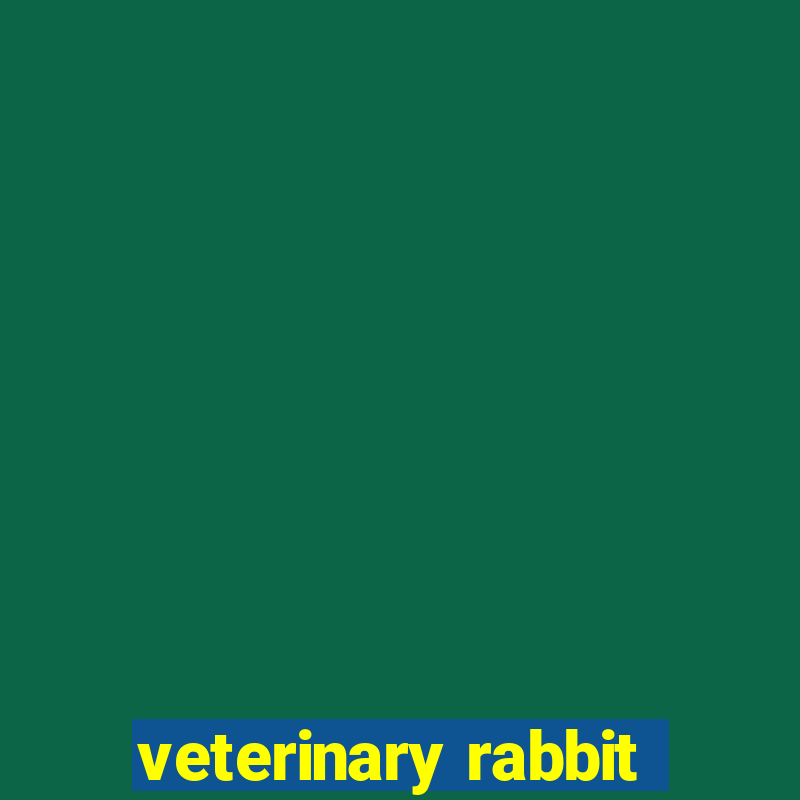 veterinary rabbit