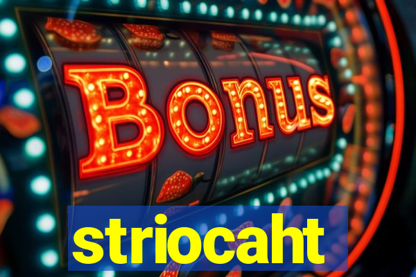 striocaht