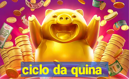 ciclo da quina