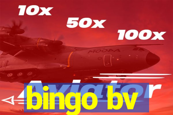 bingo bv