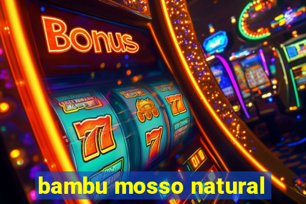 bambu mosso natural