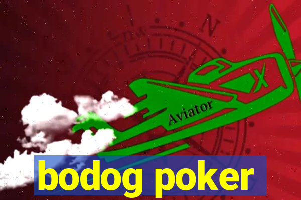 bodog poker