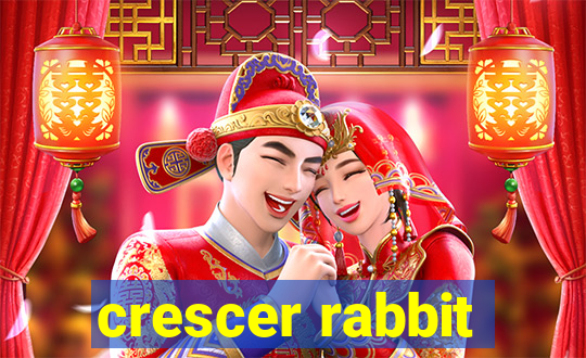 crescer rabbit