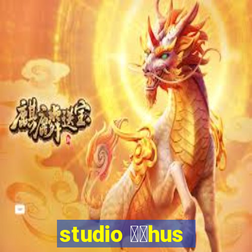 studio 姘搑hus