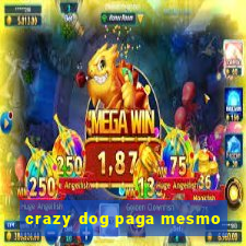 crazy dog paga mesmo