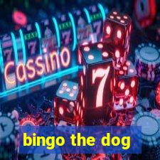 bingo the dog