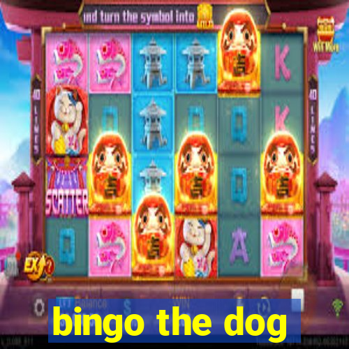 bingo the dog