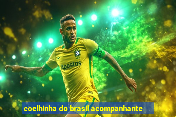 coelhinha do brasil acompanhante