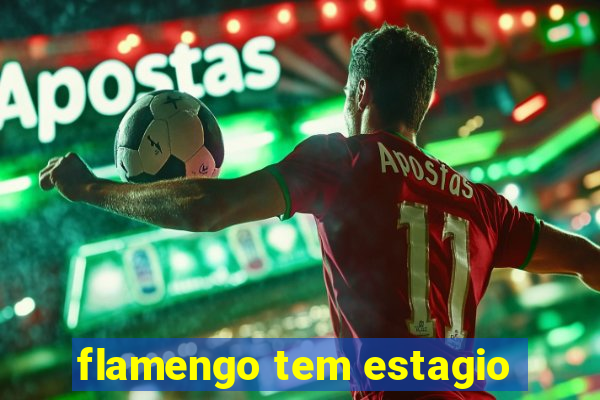 flamengo tem estagio