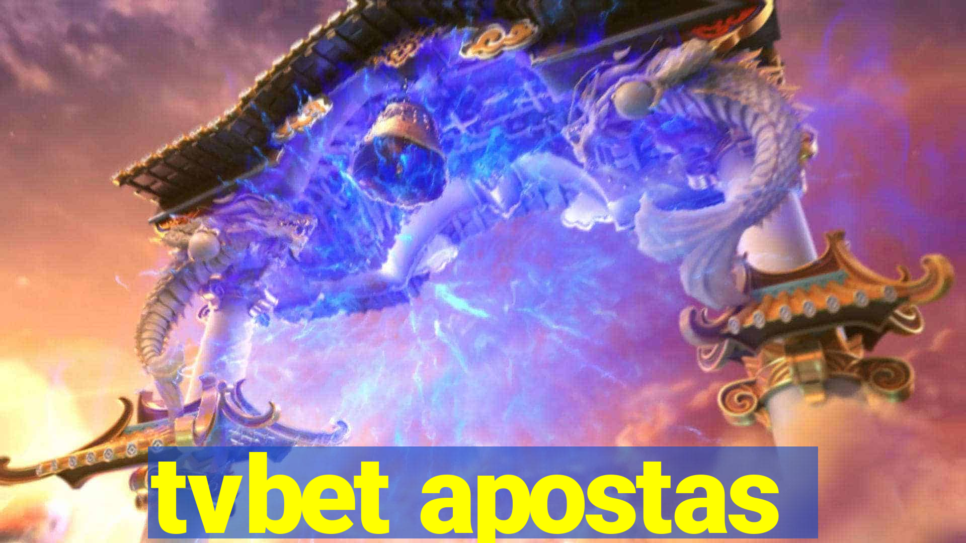 tvbet apostas