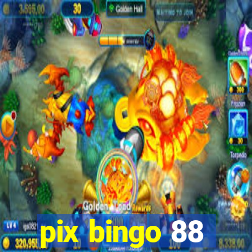 pix bingo 88