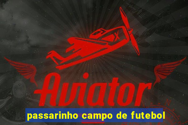 passarinho campo de futebol