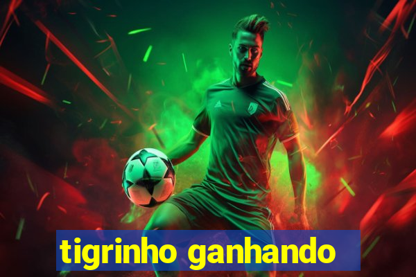 tigrinho ganhando