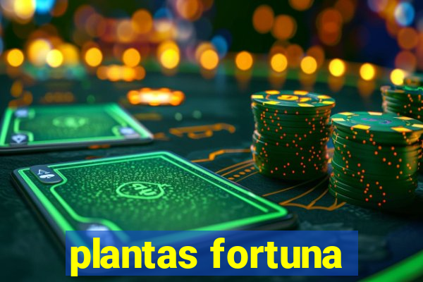 plantas fortuna