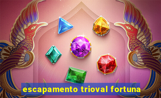 escapamento trioval fortuna