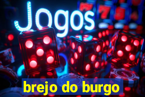 brejo do burgo