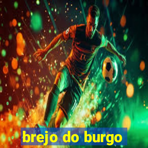 brejo do burgo