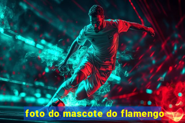 foto do mascote do flamengo