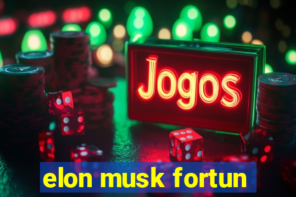 elon musk fortun