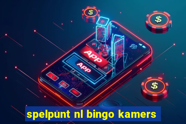 spelpunt nl bingo kamers