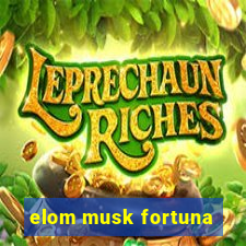 elom musk fortuna